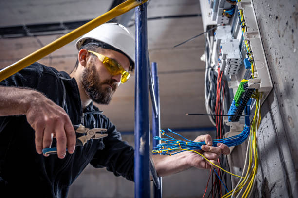 Best Electrical System Inspection  in Ville Ptte, LA